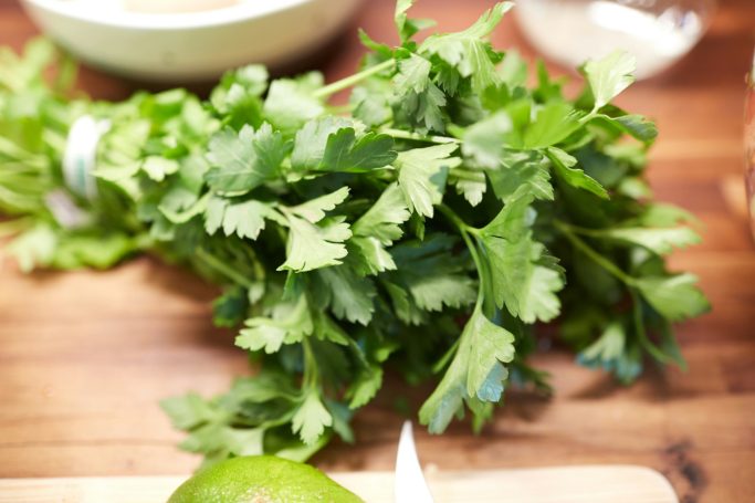 A bunch of fresh cilantro with broad green leaves on a wooden surface.