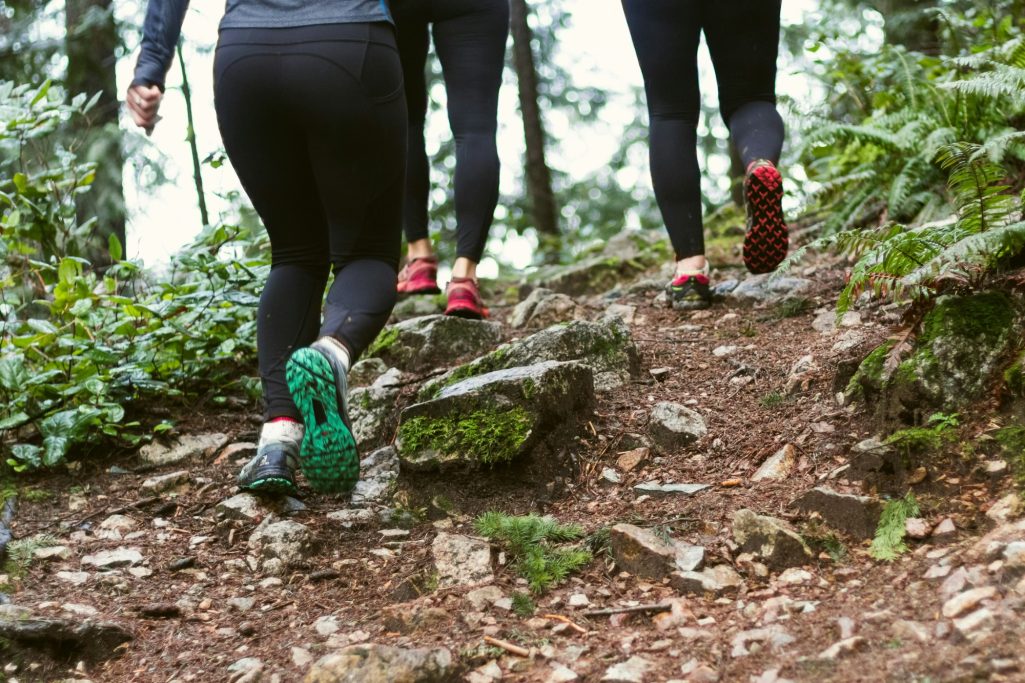 Three people hiking up a rocky trail in a forest.